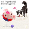 Dancing Piggy Ball Toy